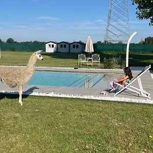 villa-iris.emilia-romagnahotels.net/